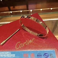 Cartier Quality Bracelets #352731