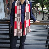 $36.50 USD Burberry Fashion Scarves For Men #356202