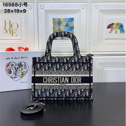 Christian Dior AAA Handbags #540469