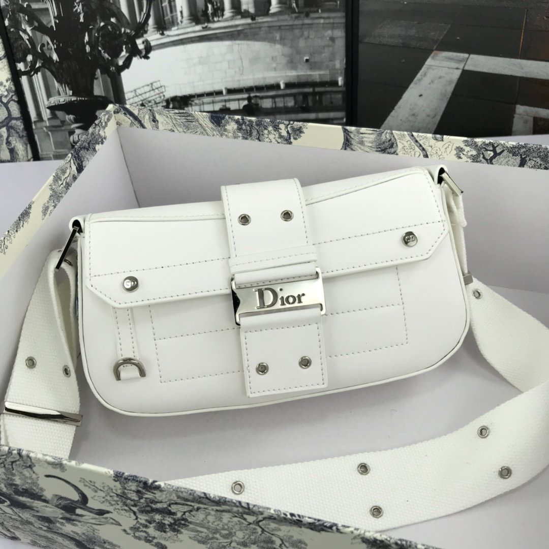 christian dior messenger