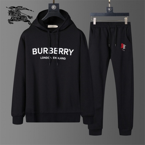 Burberry Tracksuits Long Sleeved For Men #810469