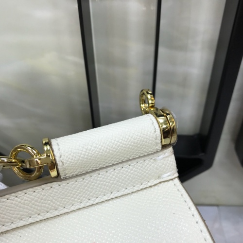 Replica Dolce & Gabbana D&G AAA Quality Messenger Bags For Women #813873 $150.00 USD for Wholesale