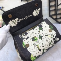 $150.00 USD Dolce & Gabbana D&G AAA Quality Messenger Bags For Women #813826