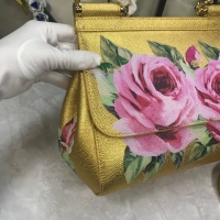 $150.00 USD Dolce & Gabbana D&G AAA Quality Messenger Bags For Women #813864