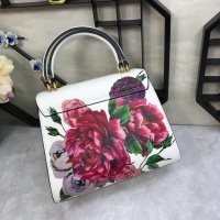 $192.00 USD Dolce & Gabbana D&G AAA Quality Messenger Bags For Women #813903