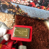 $170.00 USD Dolce & Gabbana AAA Quality Handbags For Women #813920