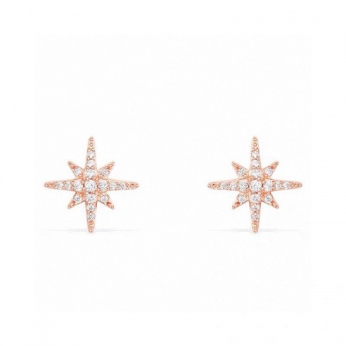 apm Monaco Earrings #828752 $29.00 USD, Wholesale Replica Apm Monaco Earrings