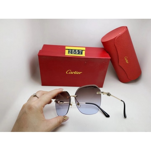 Cartier Fashion Sunglasses #864993