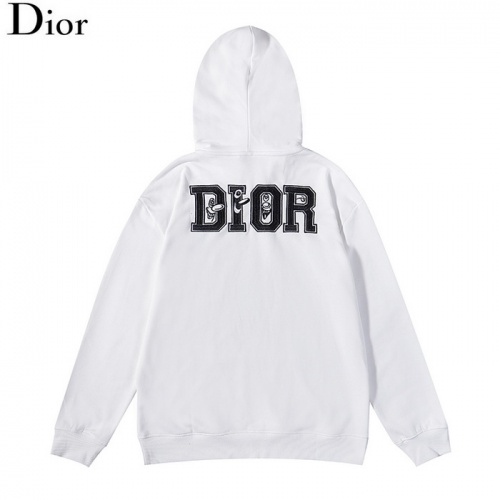 Christian Dior Hoodies Long Sleeved For Men #897235