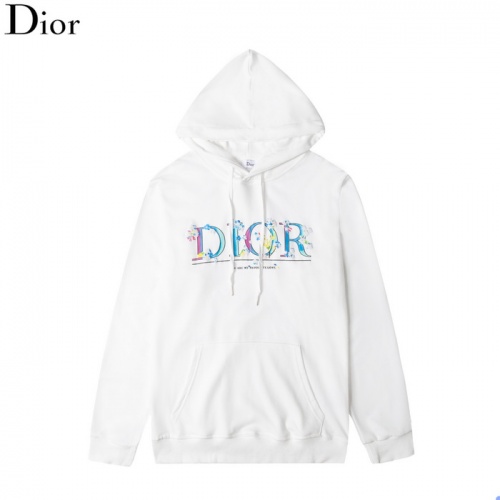 Christian Dior Hoodies Long Sleeved For Men #897260