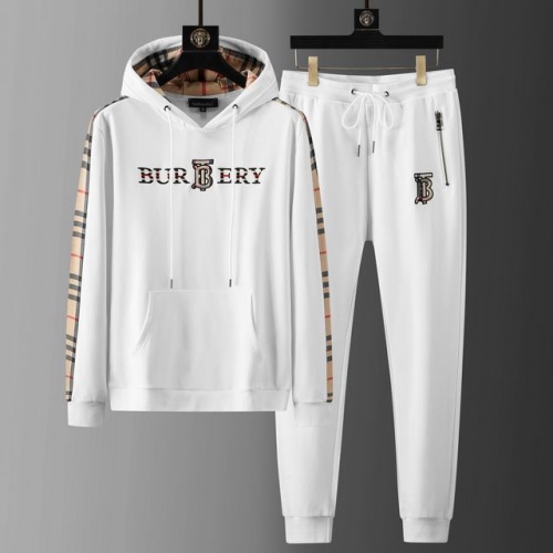 Burberry Tracksuits Long Sleeved For Men #899670