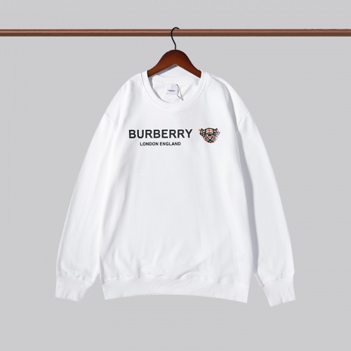 Burberry Hoodies Long Sleeved For Men #906186