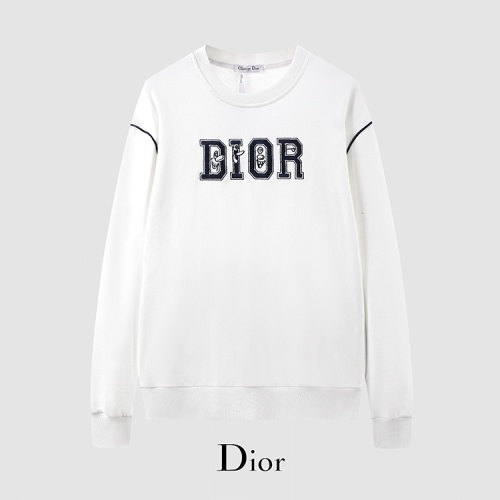 Christian Dior Hoodies Long Sleeved For Men #906196