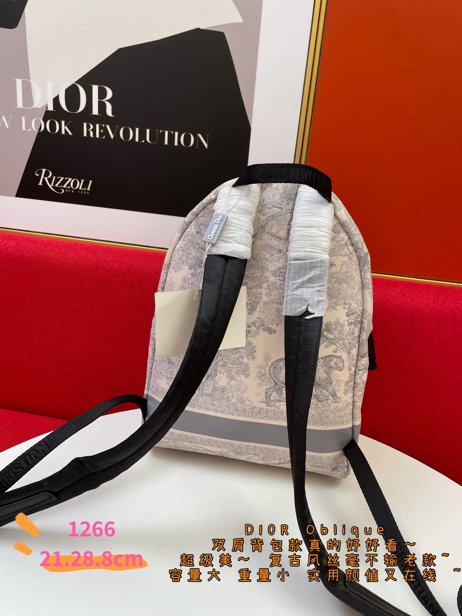 Christian Dior a Quality Backpacks For Women 00 Usd Wholesale Replica Christian Dior a Quality Backpacks