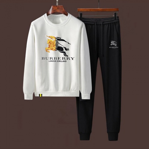 Burberry Tracksuits Long Sleeved For Men #911919