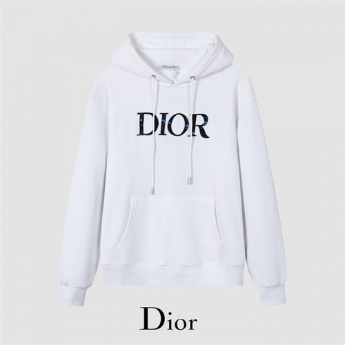 Christian Dior Hoodies Long Sleeved For Men #916167