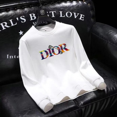 Christian Dior Hoodies Long Sleeved For Men #917066