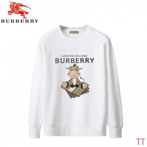 Burberry Hoodies Long Sleeved For Men #924992
