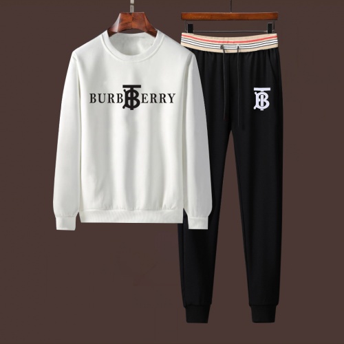 Burberry Tracksuits Long Sleeved For Men #933025