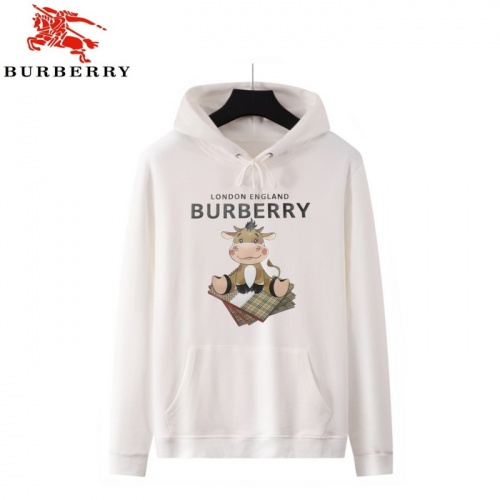 Burberry Hoodies Long Sleeved For Men #933962