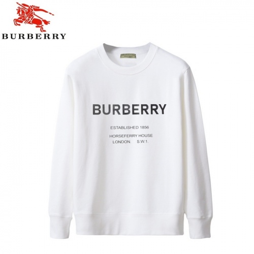 Burberry Hoodies Long Sleeved For Men #933964