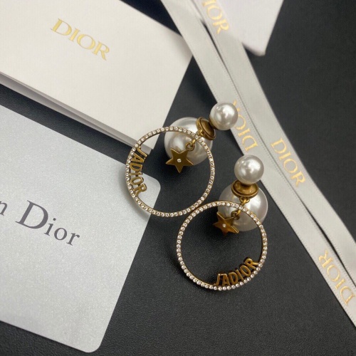 Christian Dior Earrings #938787