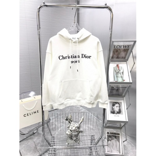 Christian Dior Hoodies Long Sleeved For Men #941313