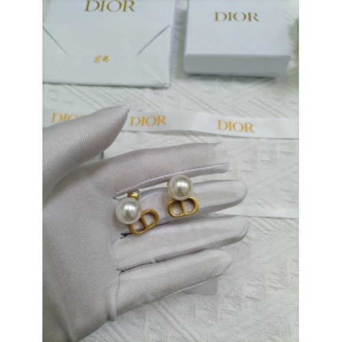 Christian Dior Earrings #941505
