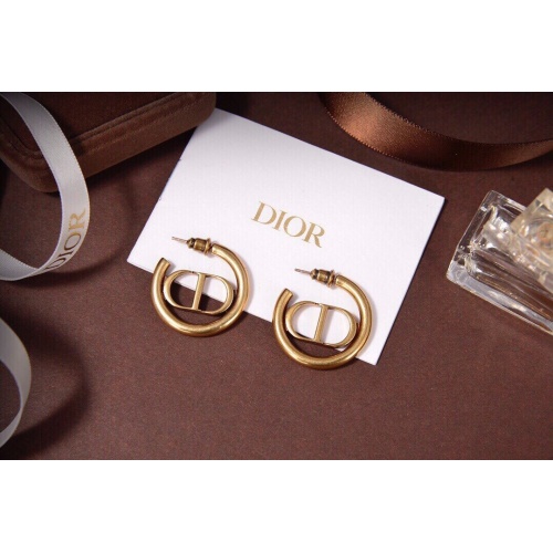 Christian Dior Earrings #942407