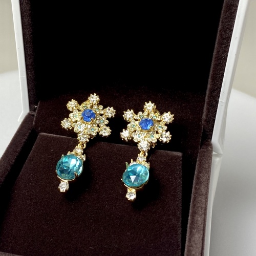 Dolce & Gabbana D&G Earrings For Women #971675