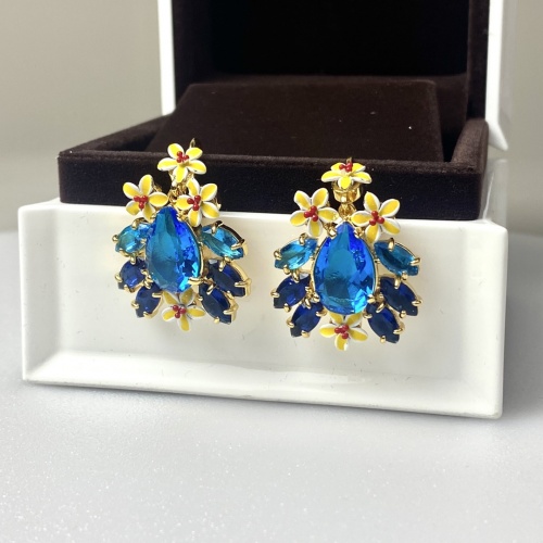 Dolce & Gabbana D&G Earrings For Women #971677