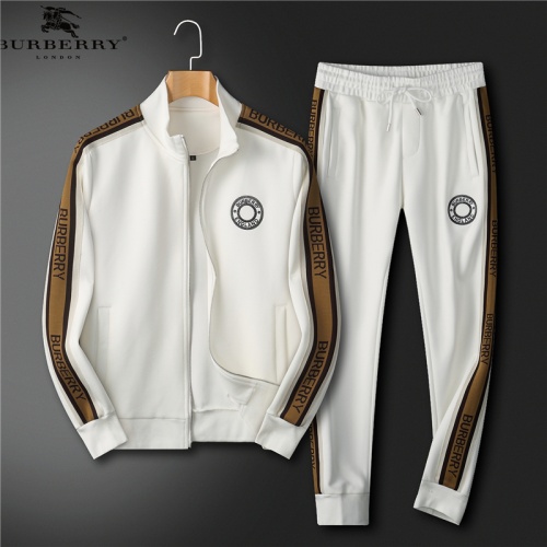 Burberry Tracksuits Long Sleeved For Men #991743