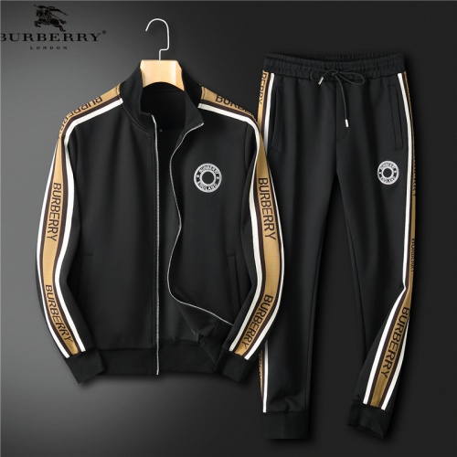 Burberry Tracksuits Long Sleeved For Men #991744