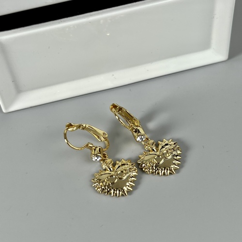 Dolce & Gabbana D&G Earrings For Women #994465