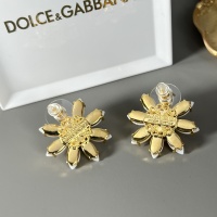 $39.00 USD Dolce & Gabbana D&G Earrings For Women #984935
