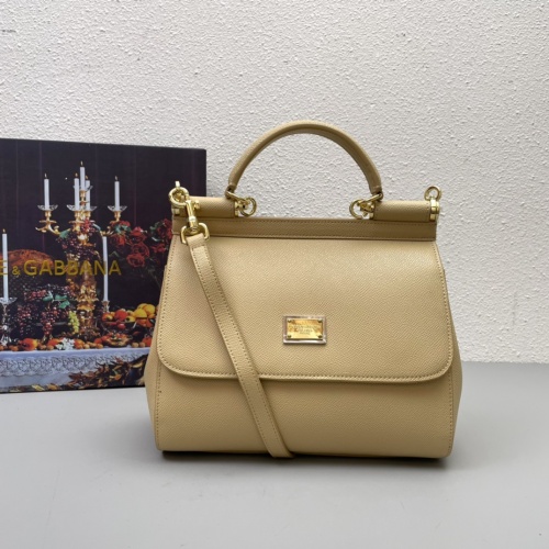 Dolce & Gabbana AAA Quality Handbags For Women #1001661