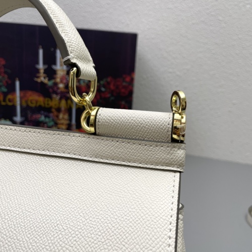 Replica Dolce & Gabbana AAA Quality Handbags For Women #1001663 $115.00 USD for Wholesale