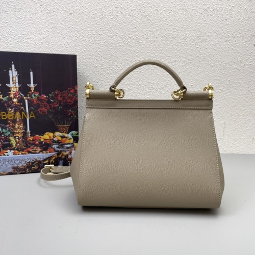 Replica Dolce & Gabbana AAA Quality Handbags For Women #1001664 $115.00 USD for Wholesale
