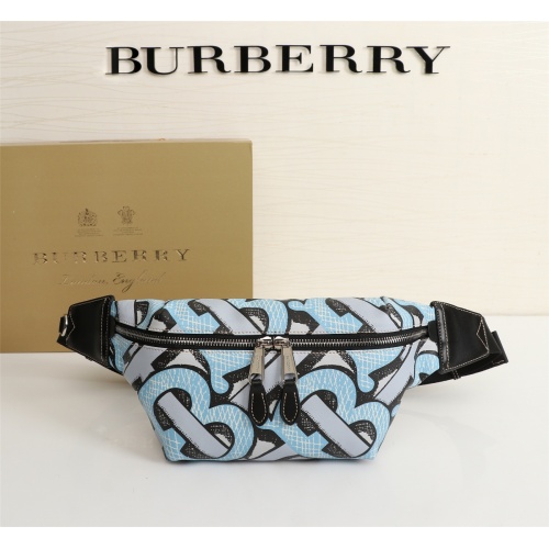 Burberry AAA Quality Belt Bags #998969