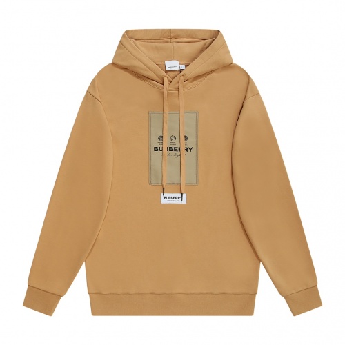 Burberry Hoodies Long Sleeved For Unisex #1012022