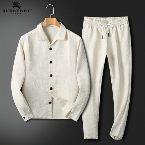 Burberry Tracksuits Long Sleeved For Men #1017244