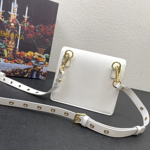 Replica Dolce & Gabbana D&G AAA Quality Messenger Bags For Women #1019187 $165.00 USD for Wholesale