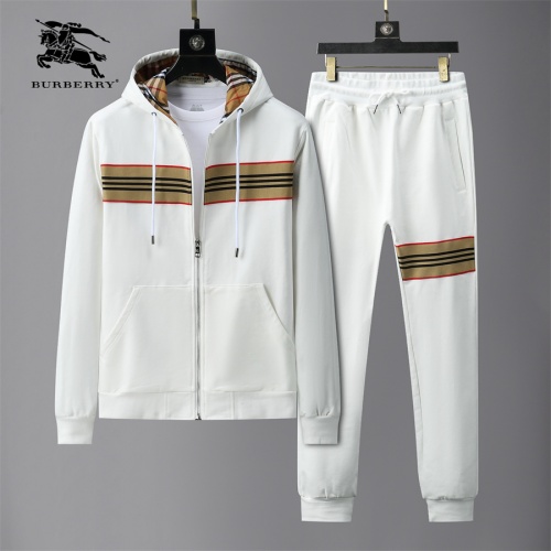 Burberry Tracksuits Long Sleeved For Men #1020945