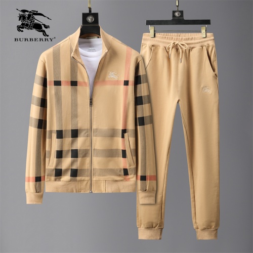 Burberry Tracksuits Long Sleeved For Men #1020947