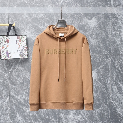 Burberry Hoodies Long Sleeved For Unisex #1021660
