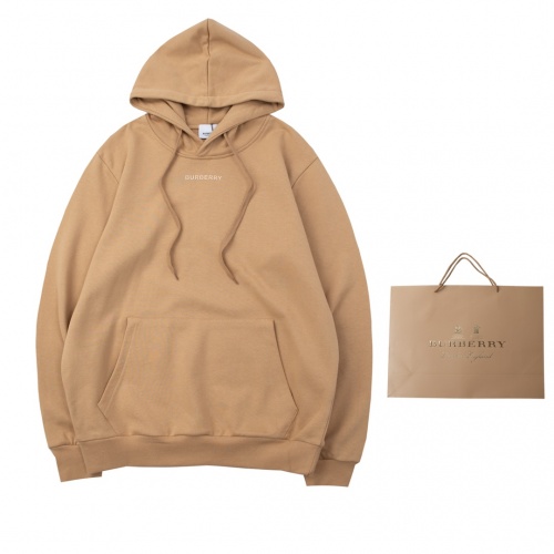 Burberry Hoodies Long Sleeved For Unisex #1021747
