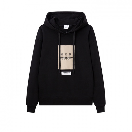 Burberry Hoodies Long Sleeved For Unisex #1021974