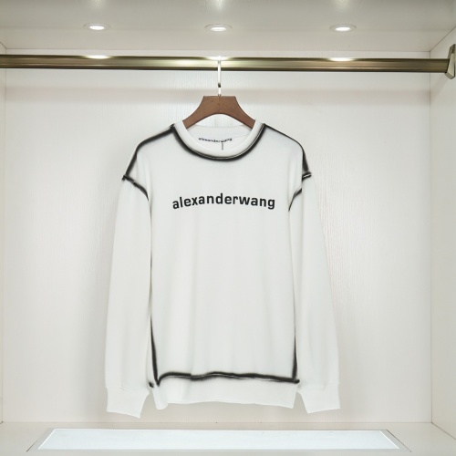 Alexander Wang Hoodies Long Sleeved For Unisex #1022915