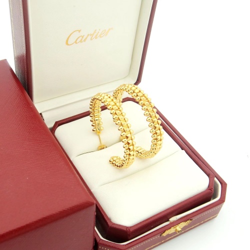 Cartier Earrings For Women #1023649