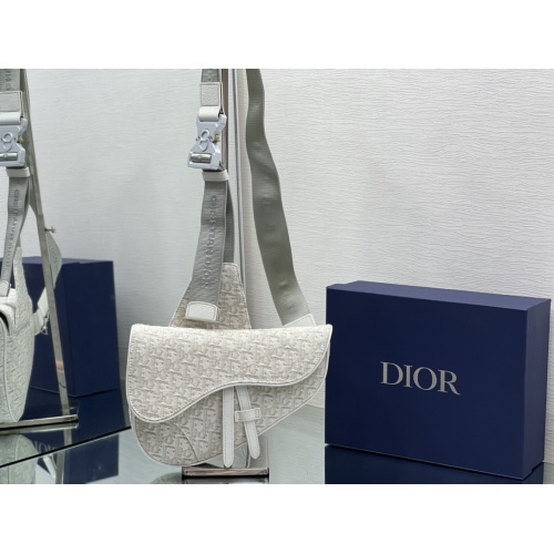 Christian Dior AAA Man Messenger Bags #1064326 $132.00 USD, Wholesale Replica Christian Dior AAA Man Messenger Bags